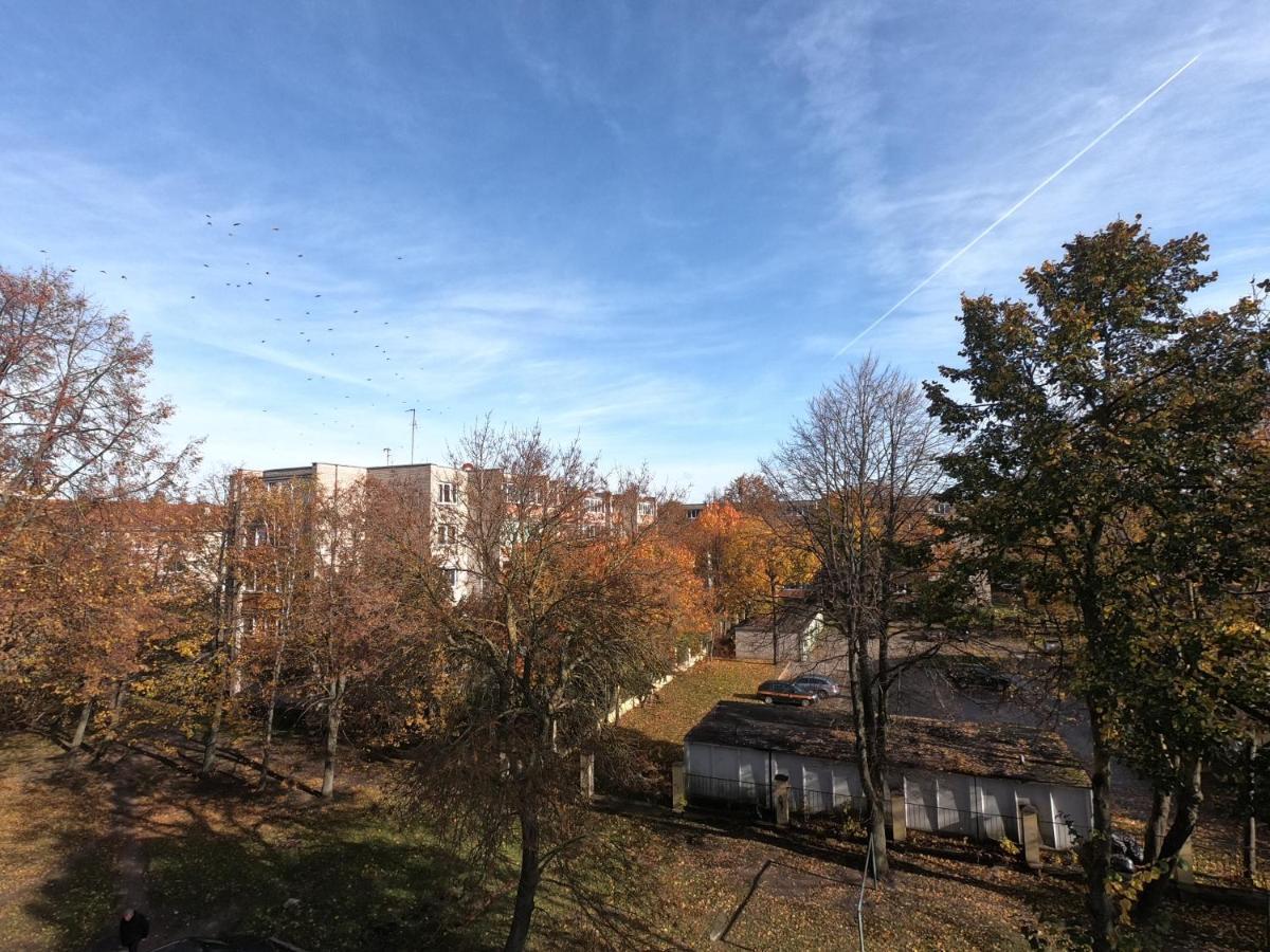 Smelte Studio Apartment Klaipėda Exteriér fotografie